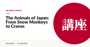 Nature & sport — The Animals of Japan: From Snow Monkeys to Cranes