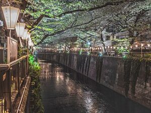 View of Meguro Ku