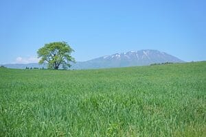 View of Shizukuishi Cho