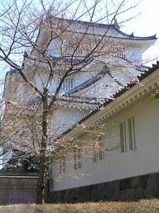 View of Otaki Machi