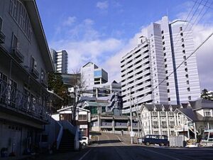 View of Minamiuonuma Shi