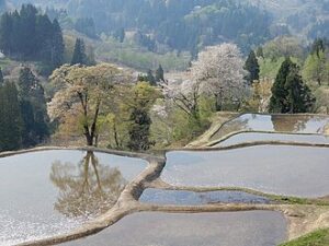 View of Tokamachi Shi