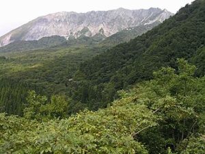 View of Kofu Cho
