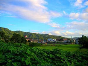 View of Katano Shi