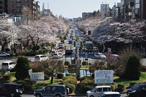 View of Kunitachi Shi