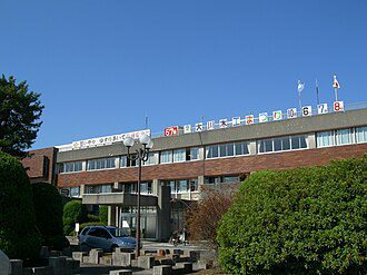 Okawa skyline